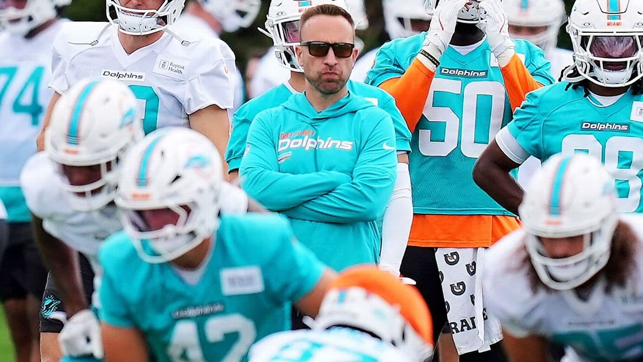 How the Dolphins went from flashy to no-frills in just three months